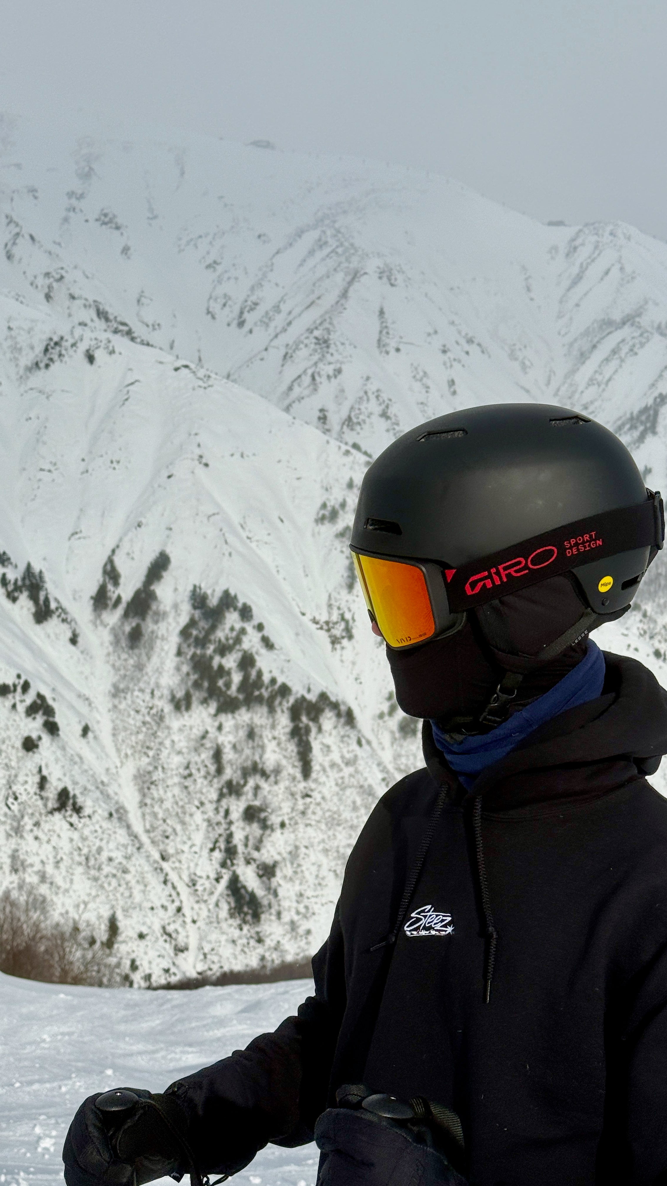 Steez Classic Hoodie